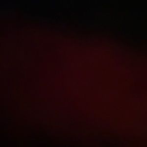 Meet your Posher, Jackson